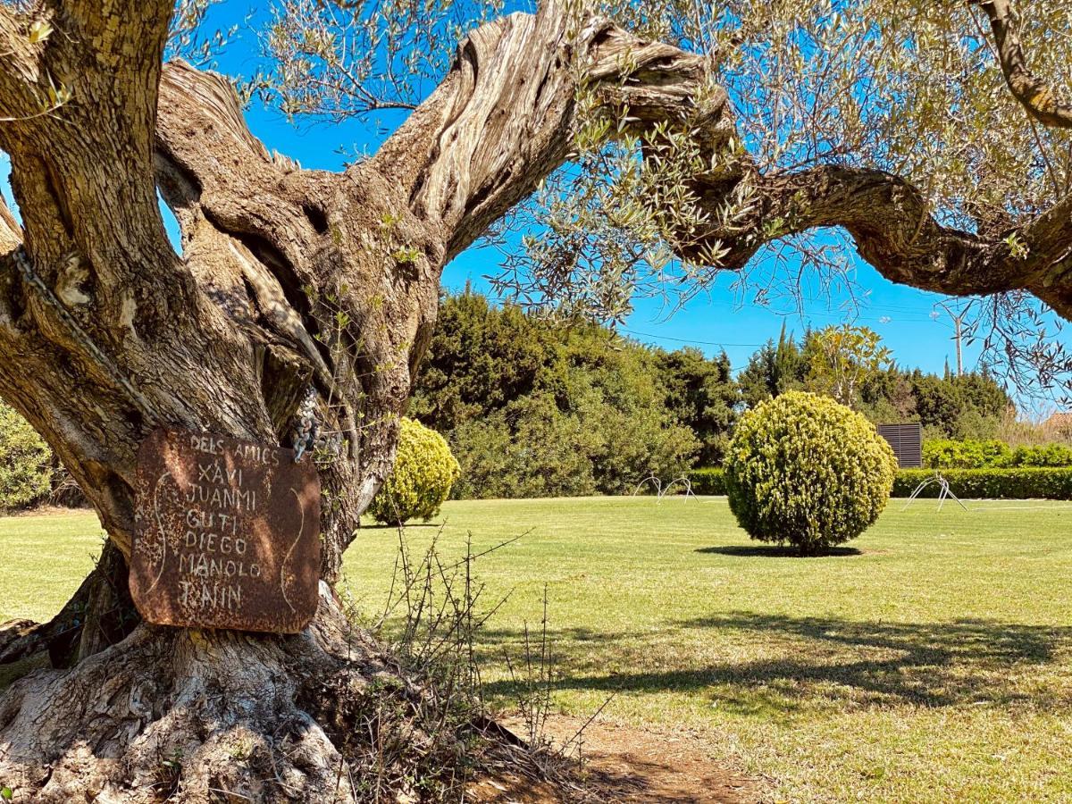 Villa La casa del Riu Vell Sant Jaume d'Enveja Esterno foto