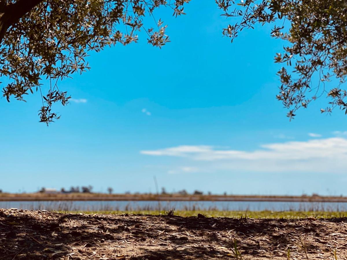 Villa La casa del Riu Vell Sant Jaume d'Enveja Esterno foto