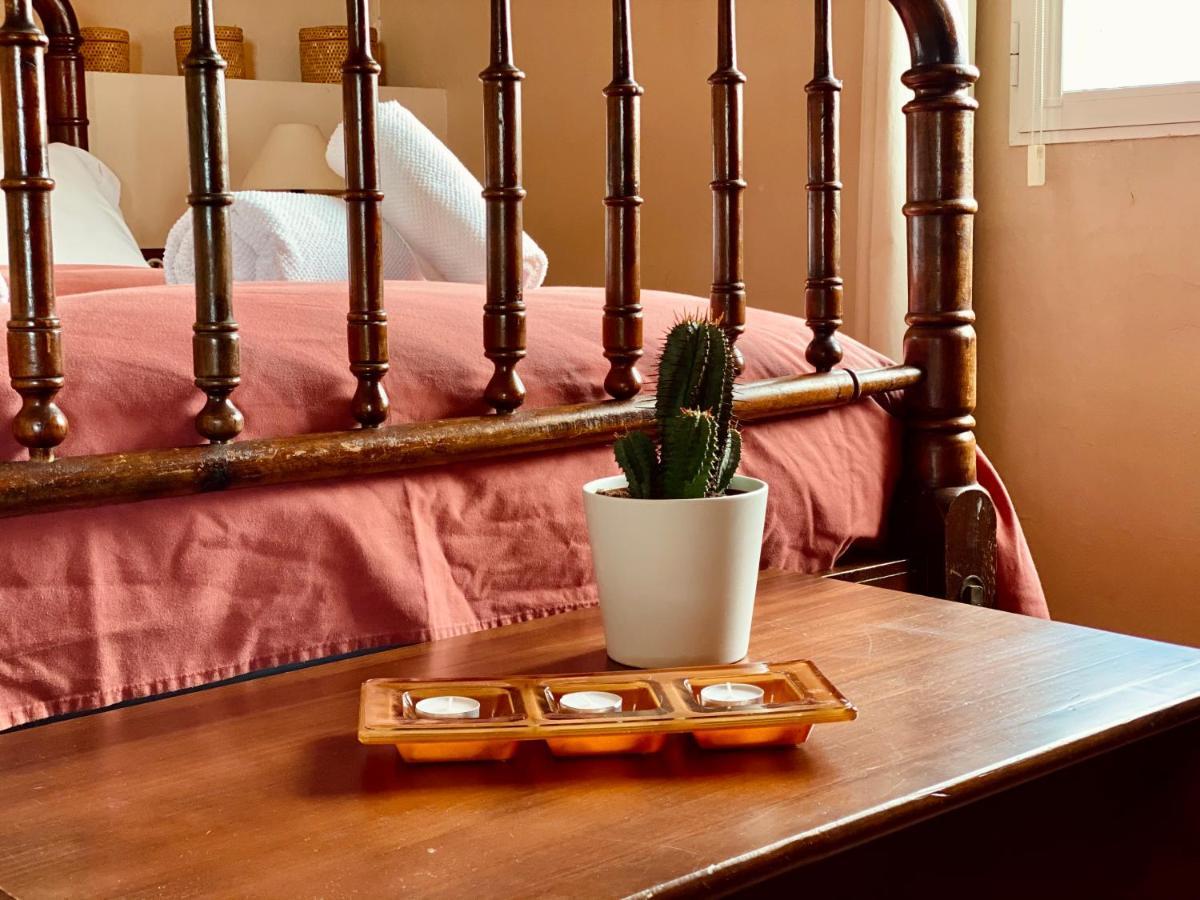 Villa La casa del Riu Vell Sant Jaume d'Enveja Esterno foto